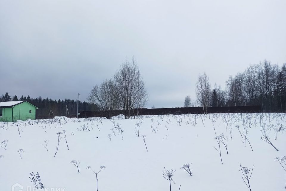 земля р-н Тосненский дачное некоммерческое партнёрство Чёрная речка фото 3