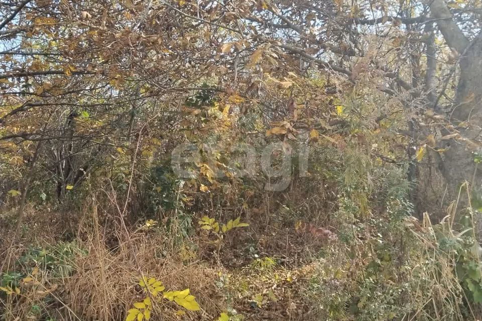 земля г Ставрополь городской округ Ставрополь, садовое товарищество Кравцово фото 7