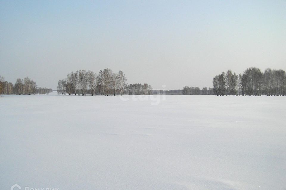 земля г Сосновоборск городской округ Сосновоборск, микрорайон 12А фото 6