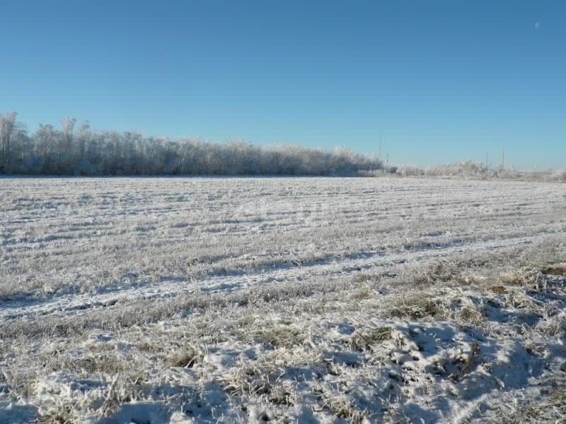 земля г Сосновоборск городской округ Сосновоборск, микрорайон 12А фото 6