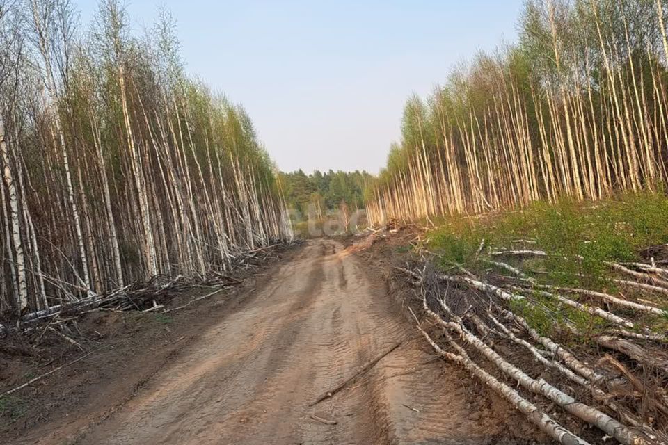 земля г Ревда с Кунгурка городской округ Ревда, Урочище Дегтяные фото 5