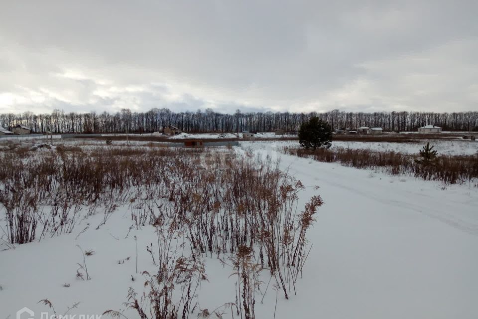 земля р-н Орловский п Саханский 25/2 фото 5