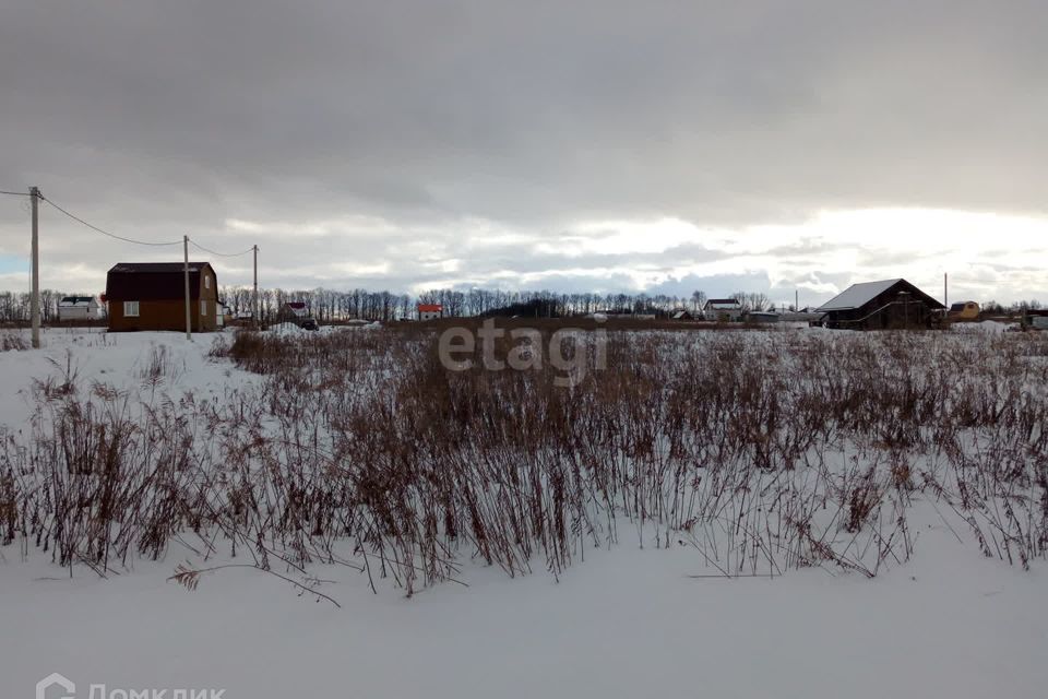 земля р-н Орловский п Саханский 25/2 фото 7