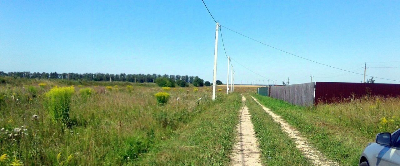 земля р-н Ясногорский Теляковское муниципальное образование, ДНП, Березки фото 8