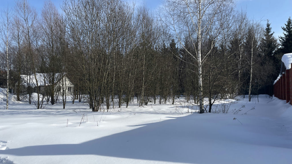 земля городской округ Раменский с Зюзино Зюзино с. 1-я Полевая ул фото 1