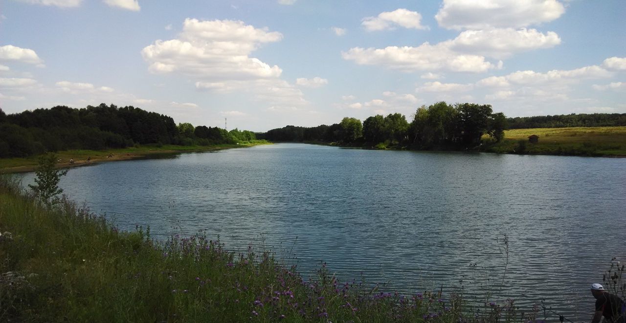 земля городской округ Чехов д Сохинки Пролетарский фото 1