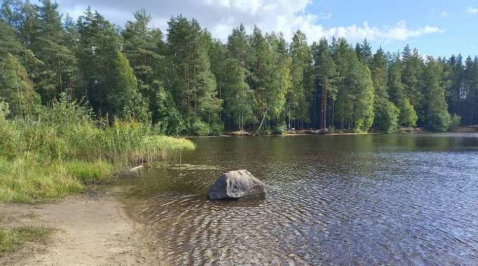 земля г Санкт-Петербург п Левашово ул Шуваловская метро Озерки фото 2