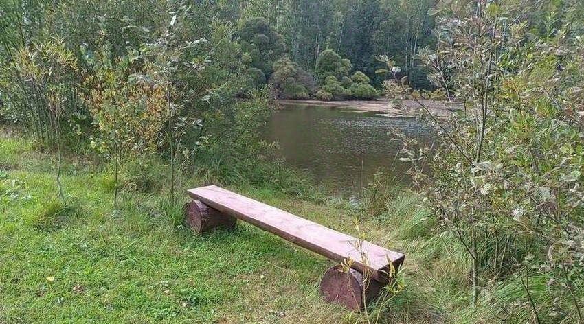 земля г Санкт-Петербург п Левашово ул Шуваловская Беговая фото 3