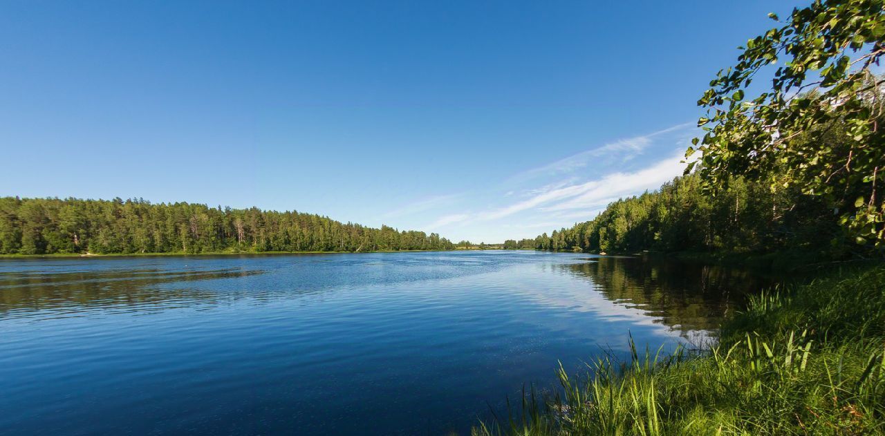 земля р-н Пряжинский д Киндасово Пряжинское городское поселение фото 8