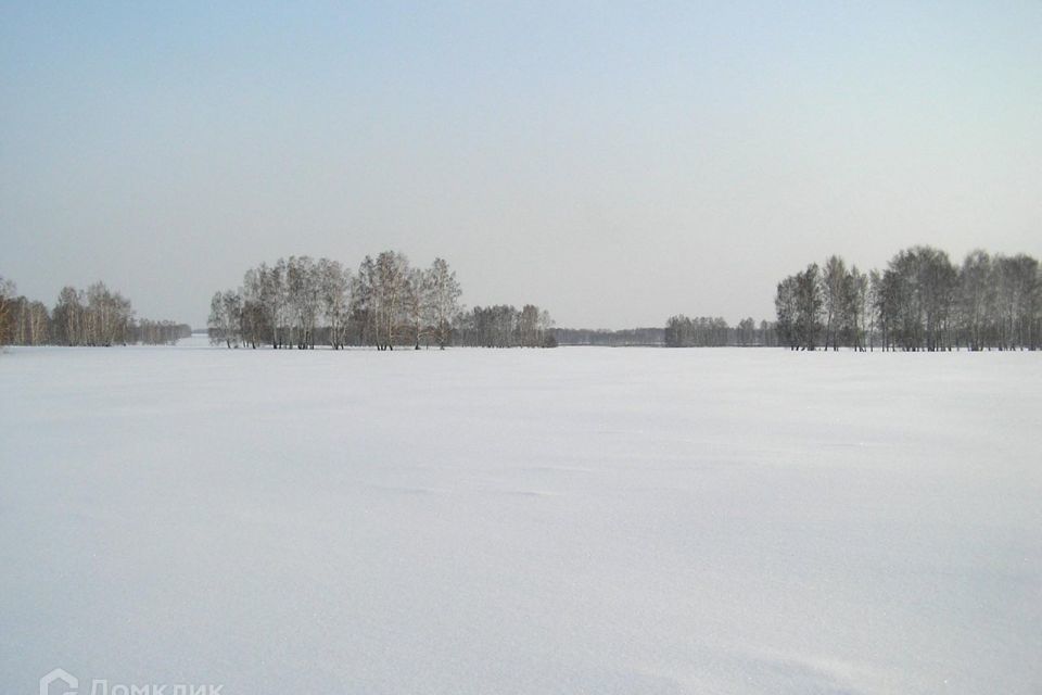 земля р-н Лужский д Дергово ул Лесная фото 1