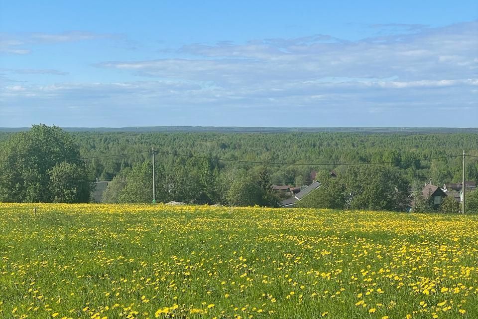 земля р-н Ломоносовский деревня Михайловская фото 3