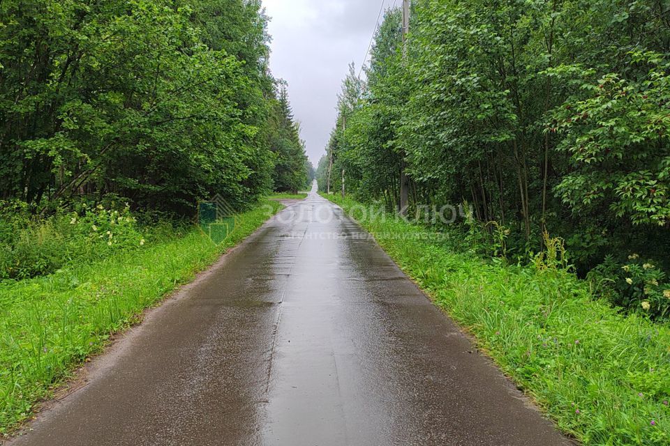 земля городской округ Клин ДСК Лесной фото 4