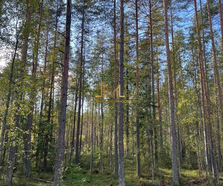 земля р-н Всеволожский п Новое Токсово Новое Токсово-Парковая фото 4