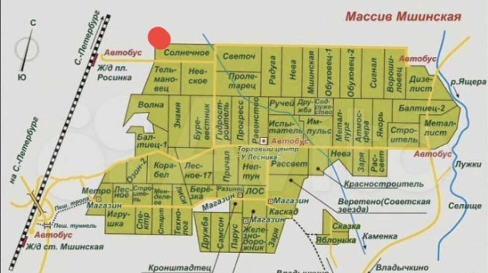 земля р-н Лужский п Мшинская Мшинское сельское поселение, 139, Толмачево, садоводческое некоммерческое товарищество Солнечное фото 10