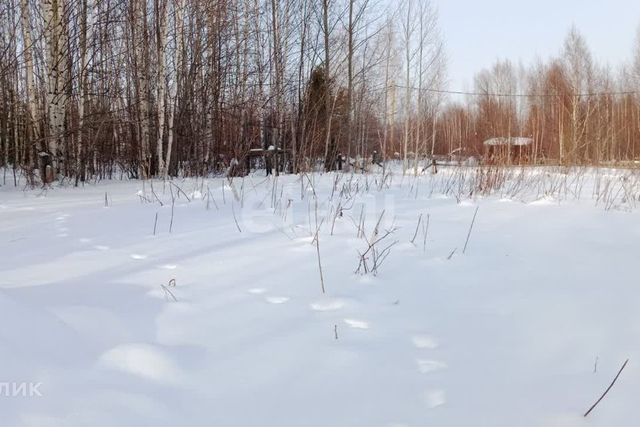 земля урочище Таволожное, городской округ Ханты-Мансийск фото