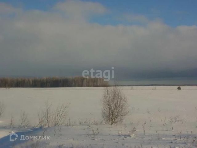 городской округ Сосновоборск, Сосновоборск фото