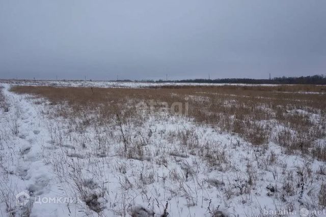 Есаульский сельсовет фото