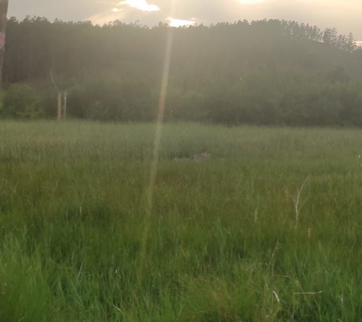 земля г Якутск городской округ Якутск, улица Старый Покровский Тракт, 12/8 фото 1