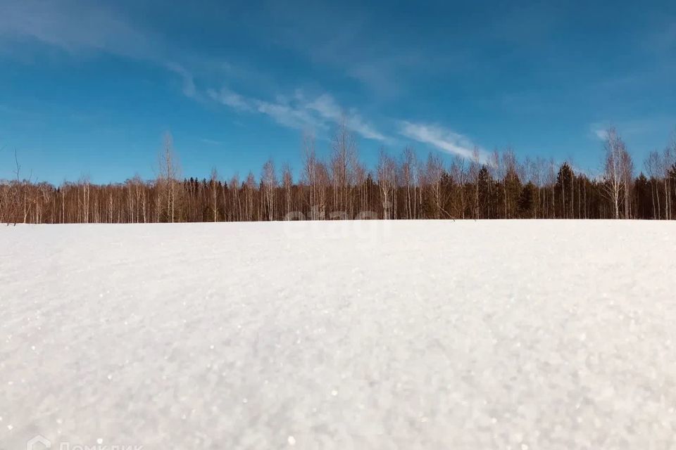 земля городской округ Сосновоборск, Сосновоборск фото 3