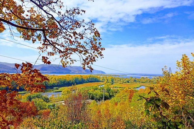 земля снт Старая Жила городской округ Самара, территория Массив № 1, СДТ фото