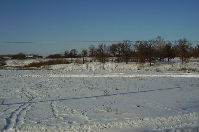 городской округ Бердск, садоводческое некоммерческое товарищество собственников недвижимости Ива, 16-я улица фото