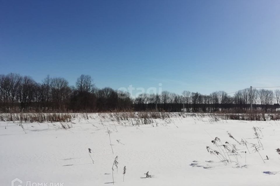 земля городской округ Сосновоборск, Сосновоборск фото 1