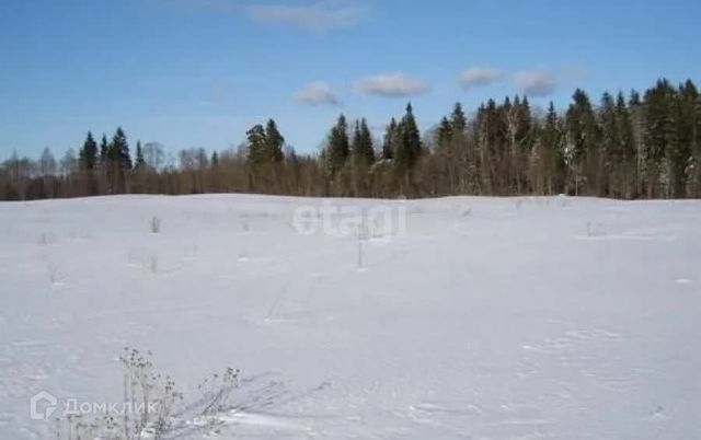 городской округ Сосновоборск, Сосновоборск фото