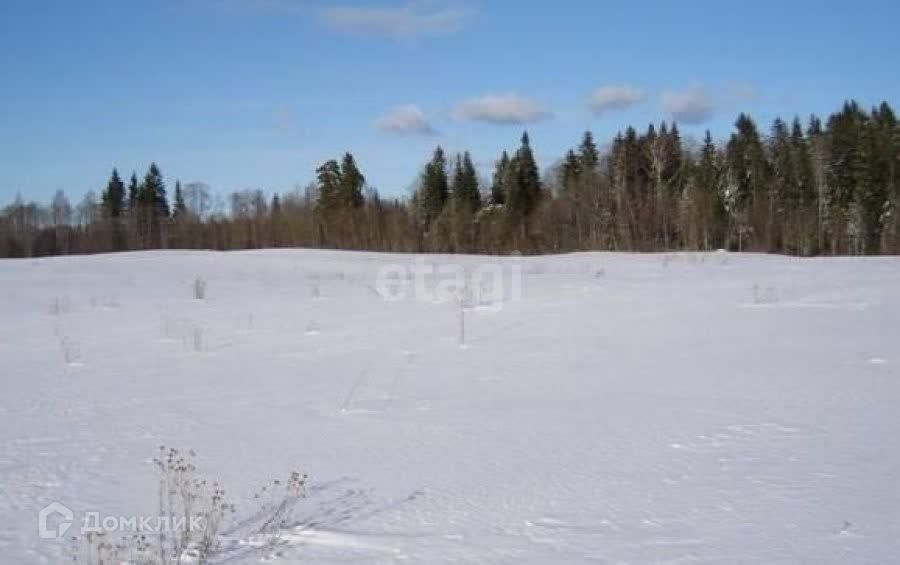 земля городской округ Сосновоборск, Сосновоборск фото 2