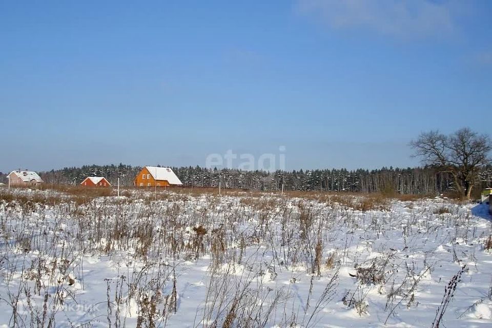 земля городской округ Сосновоборск, Сосновоборск фото 3