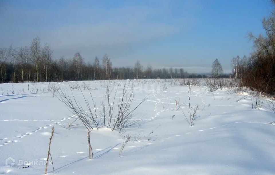 земля городской округ Сосновоборск, Сосновоборск фото 4