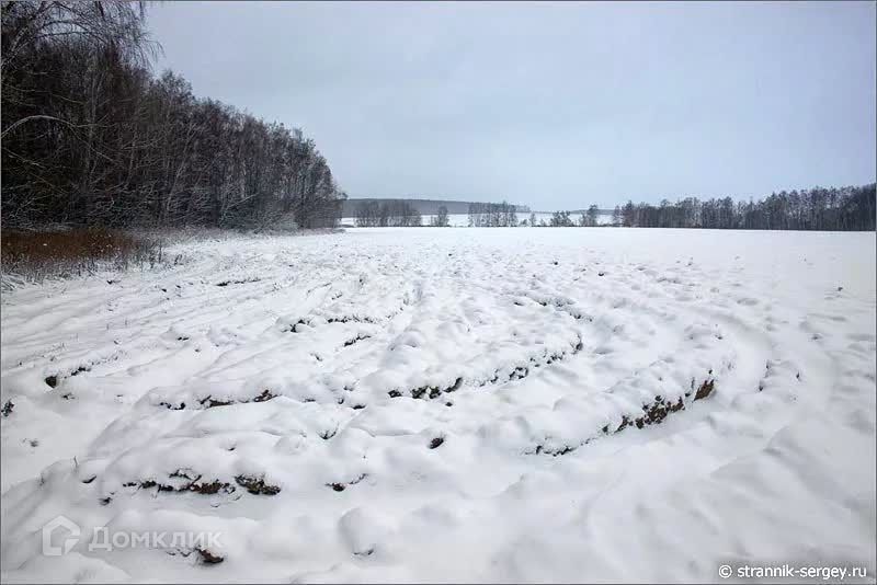 земля городской округ Сосновоборск, Сосновоборск фото 4