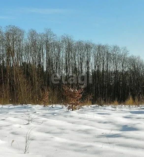 земля городской округ Сосновоборск, Сосновоборск фото 4