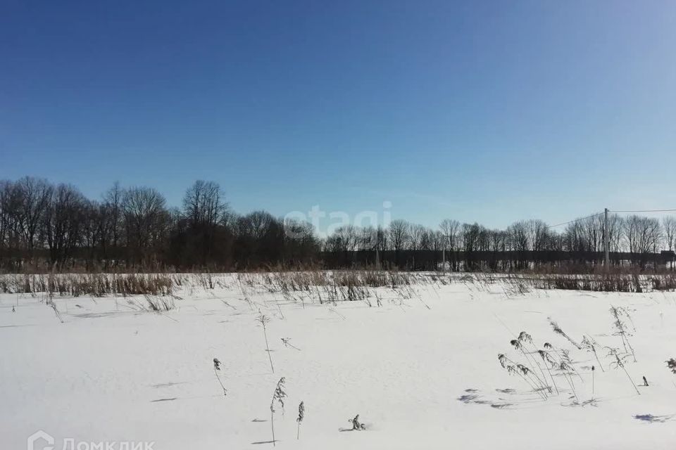 земля городской округ Сосновоборск, Сосновоборск фото 4