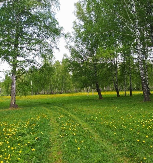 земля р-н Новосибирский посёлок Ленинский фото 2