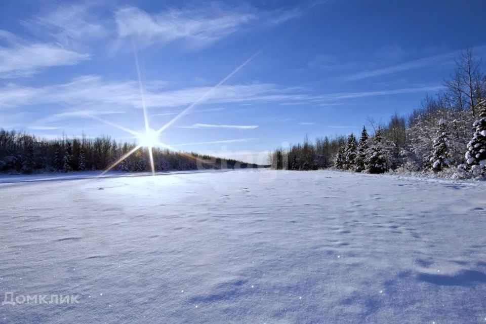 земля городской округ Сосновоборск, Сосновоборск фото 5