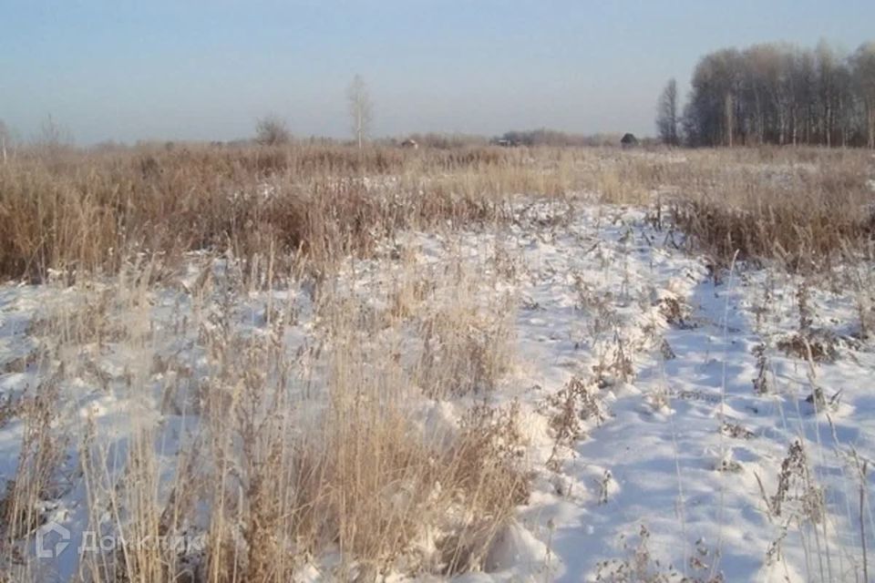 земля городской округ Сосновоборск, Сосновоборск фото 5