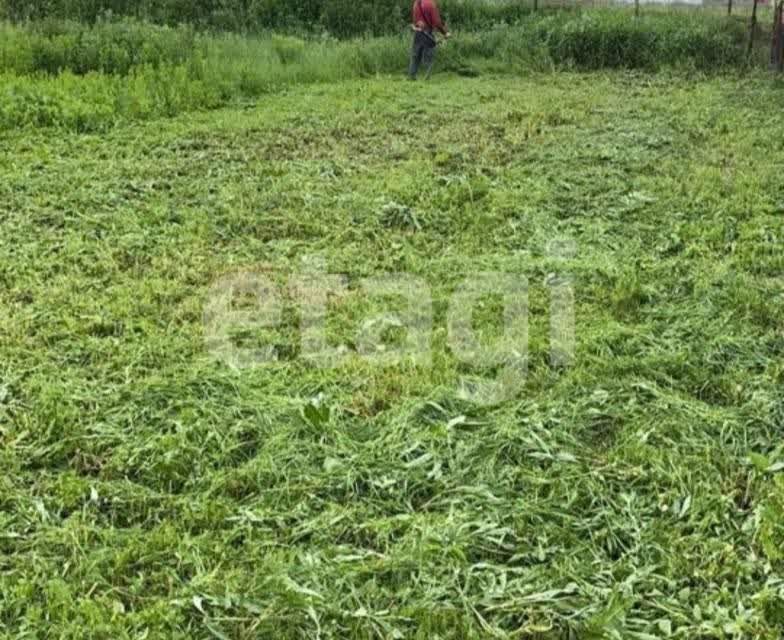 земля р-н Дубенский село Лужное фото 2