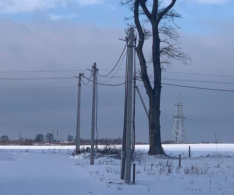 земля р-н Гурьевский фото 3