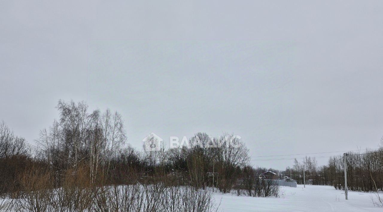 земля р-н Богородский д Букино фото 1