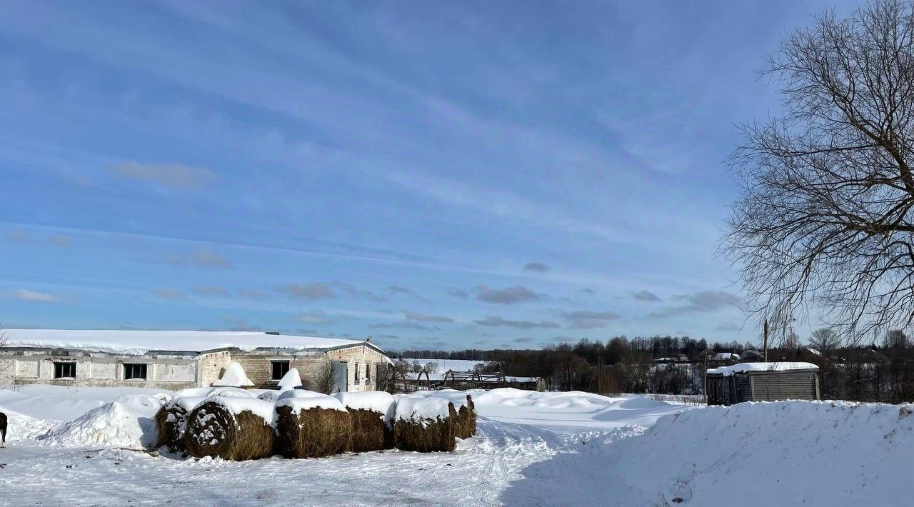 производственные, складские городской округ Наро-Фоминский д Устье ул Весенняя 1 фото 18