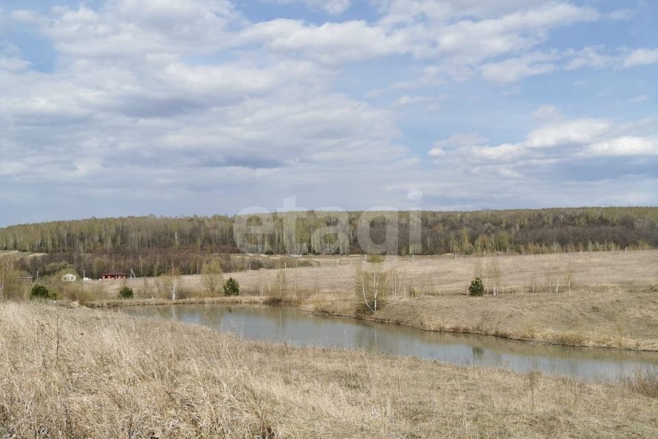 земля р-н Кочкуровский фото 9