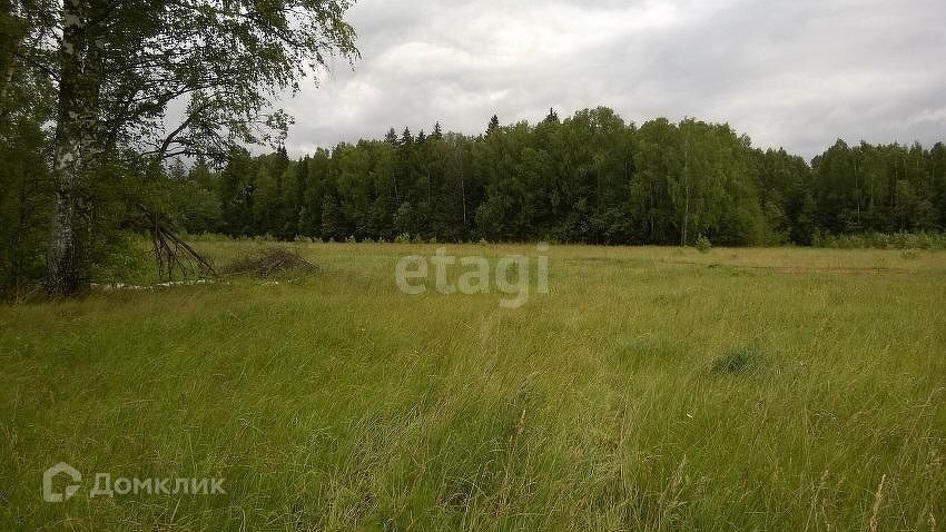 земля городской округ Талдомский дачи фото 3