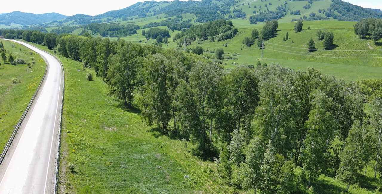 земля р-н Майминский п Черемшанка Горно-Алтайск фото 5