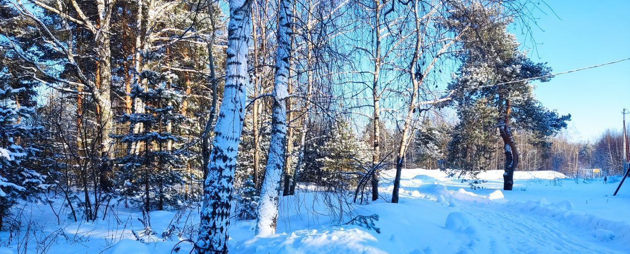 земля городской округ Богородский г Ногинск фото 1