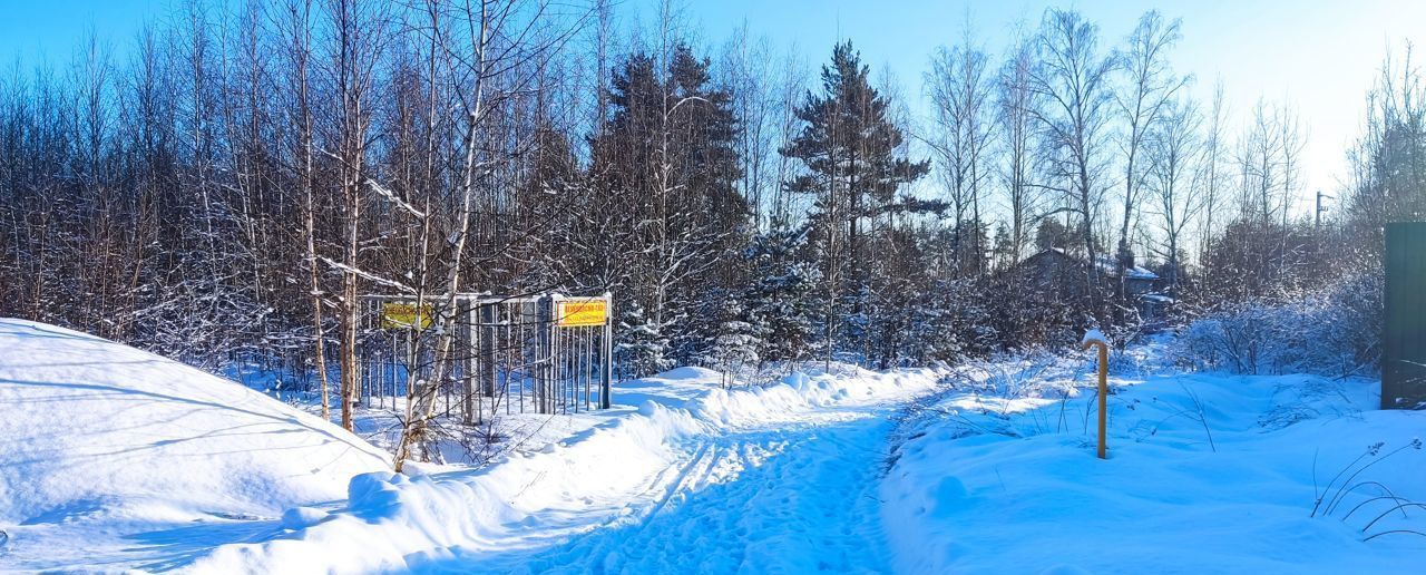 земля городской округ Богородский г Ногинск фото 2