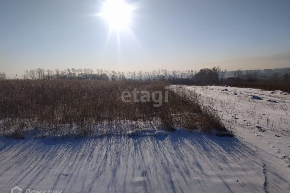 земля г Благовещенск с Плодопитомник ул Дорожников 16 городской округ Благовещенск фото 2