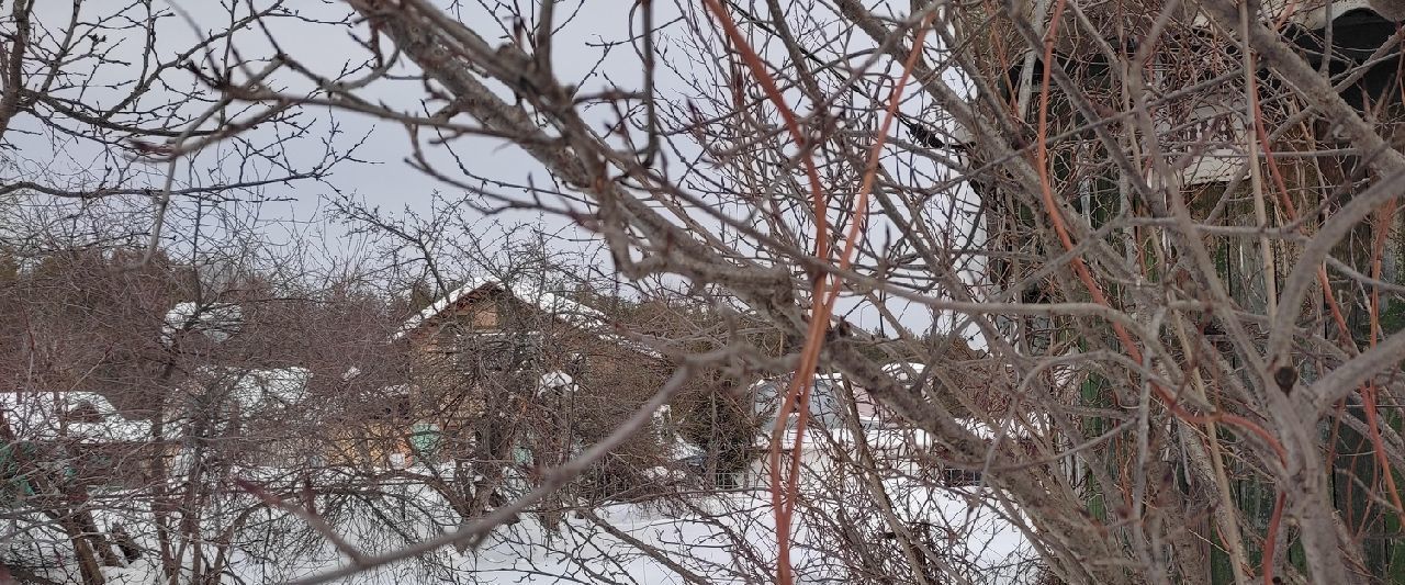 дом р-н Зеленодольский пгт Васильево муниципальное образование, Заря МСХ СНТ фото 1