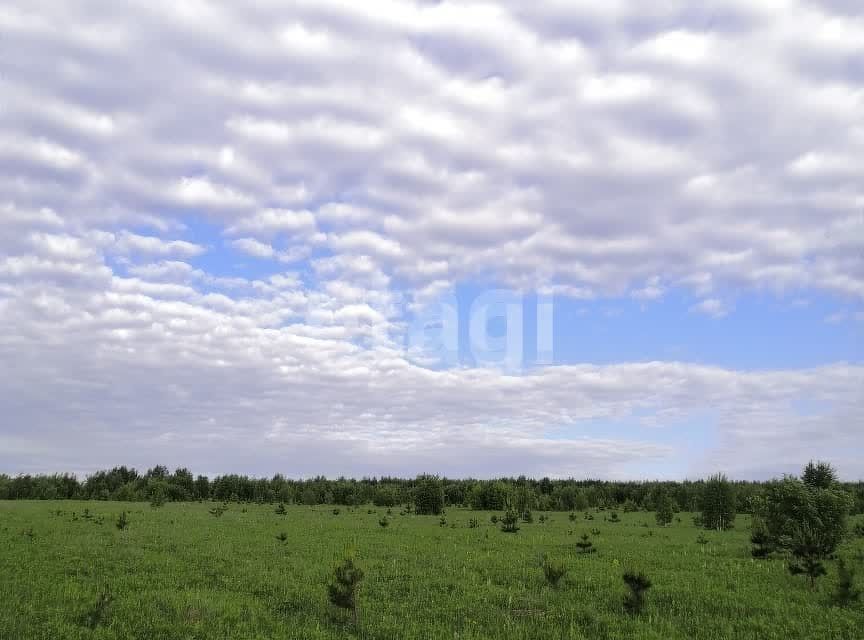 земля р-н Кемеровский д Жургавань ул Центральная фото 3