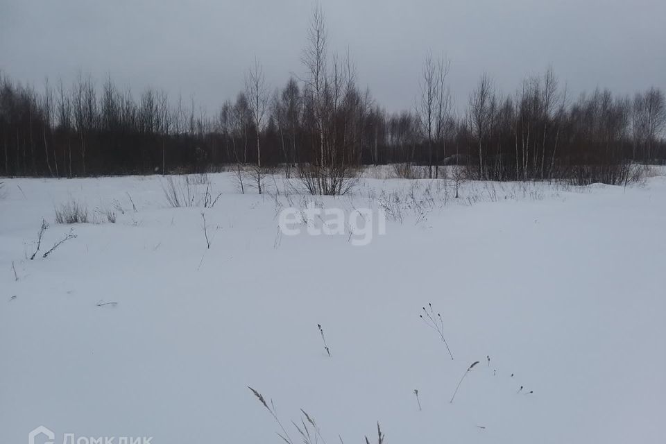 земля р-н Спасский д Борковка городской округ Выкса, территория сельскохозяйственный квартал Борковский фото 3