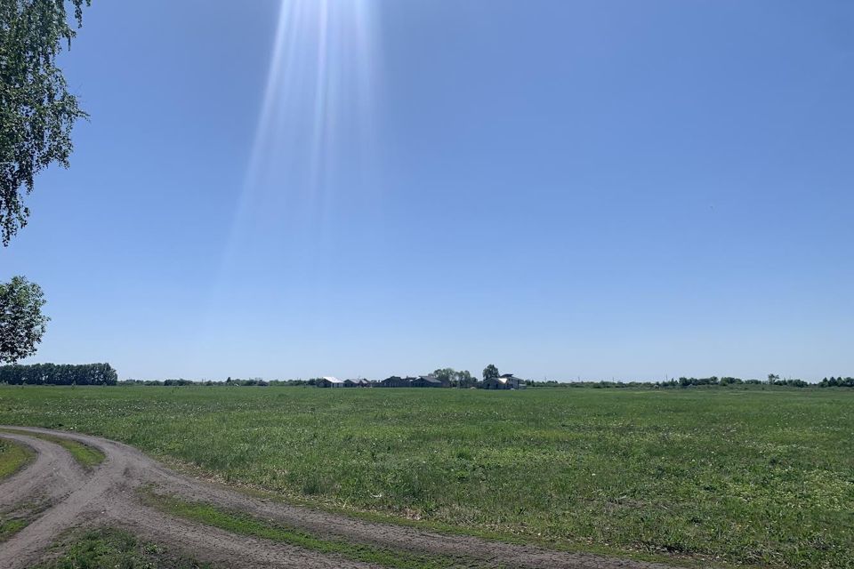 земля р-н Мелекесский с Сабакаево коттеджный посёлок Дубовая Роща фото 2
